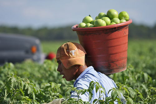 Photo credit JJ Tiziou.