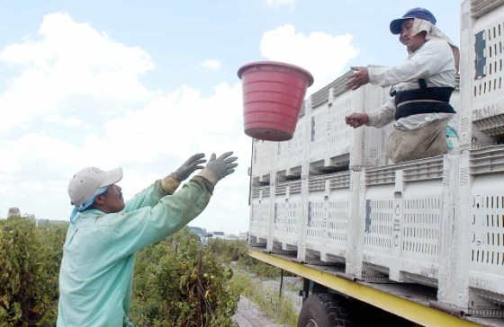 Photo credit JJ Tiziou.