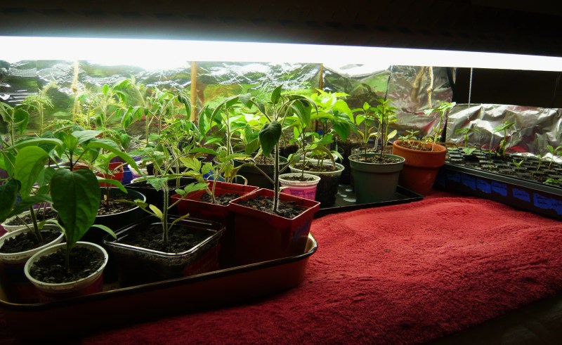 Tinfoil Palace, shown with the front "door" removed.