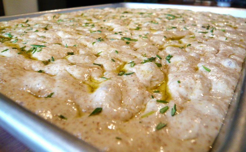 After a 3-hour rise, nearly, but not quite, at the top of the pan.