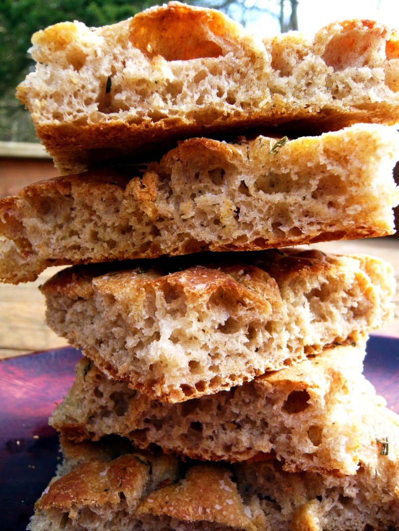 The holes!  The holes!