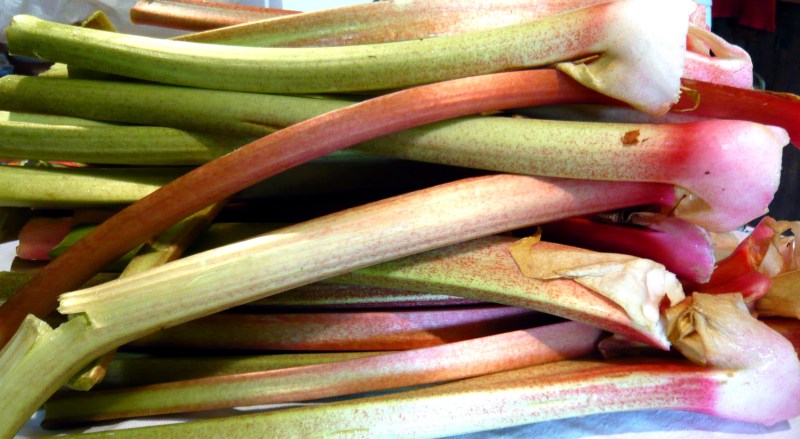 buttloadofrhubarb