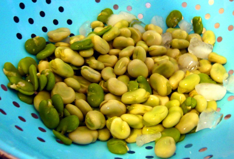 Fresh favas; the bright green have already been 'double-shucked,' while the yellow is the little capsule that needs to be removed after cooking.