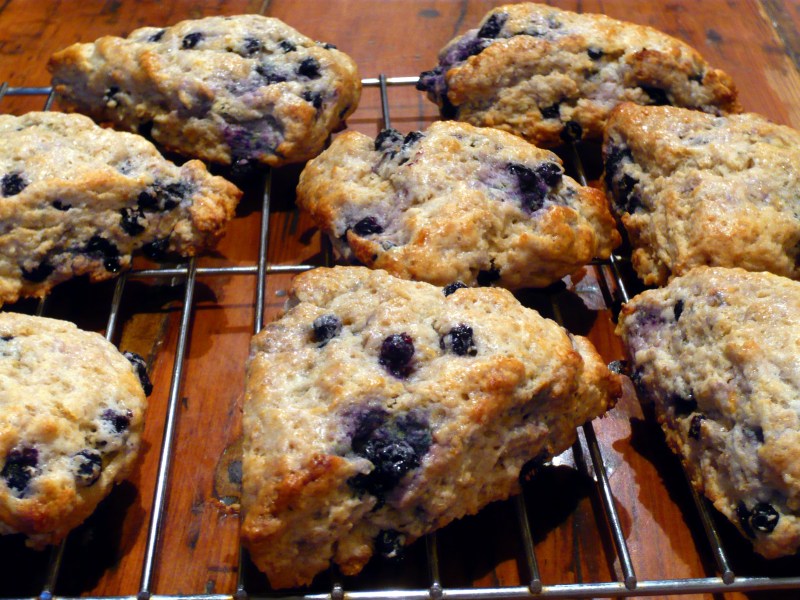 blueberryscone