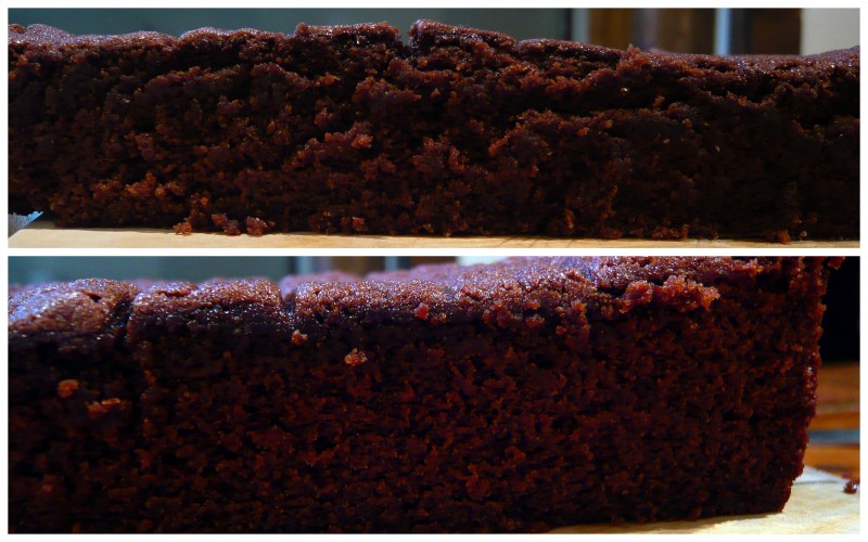 Top is whole wheat pastry flour; bottom is whole wheat all-purpose flour. The pastry flour layer rose just slightly less than the AP flour, but the AP sunk a bit in the middle. AP flour has a slightly more open crumb.
