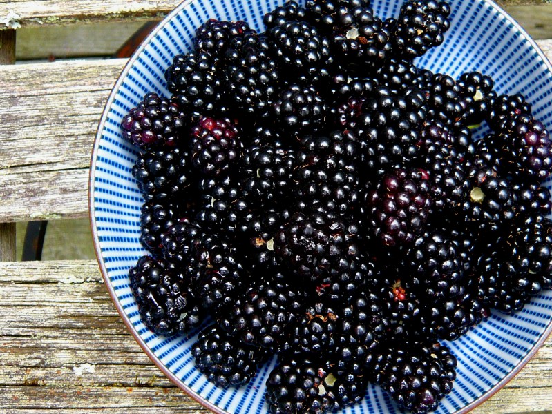 blackberries