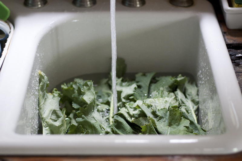 kale-arugula-lasagna