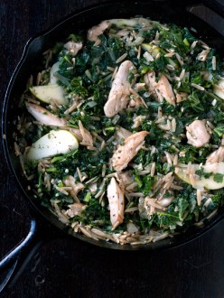 chicken-orzo-stew