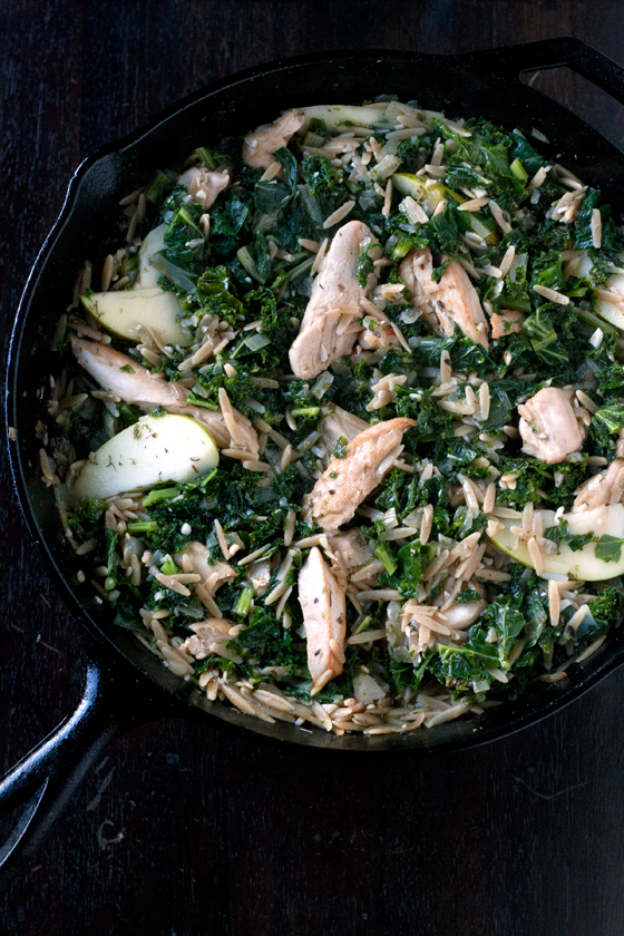 chicken-orzo-stew