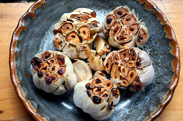 garlic1