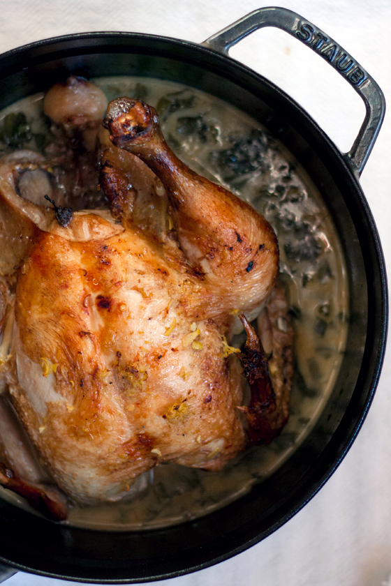 ramp-braised-chicken