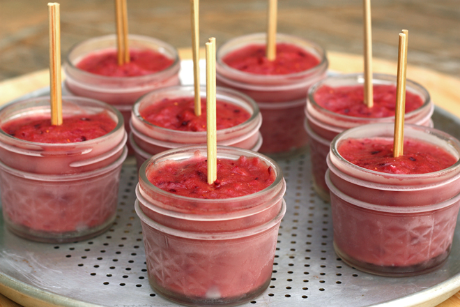 cran-rhubarb-pops1