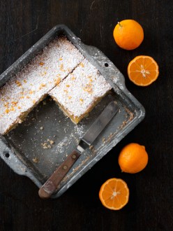 Rangpur lime tequila bars