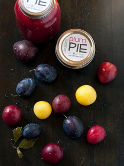 plum-pie-filling