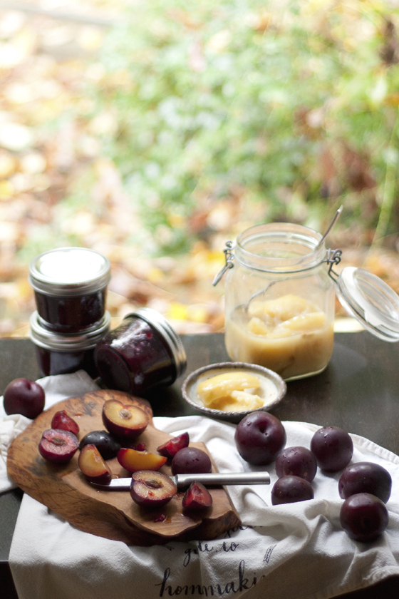 plum-jam-preserved-lemon