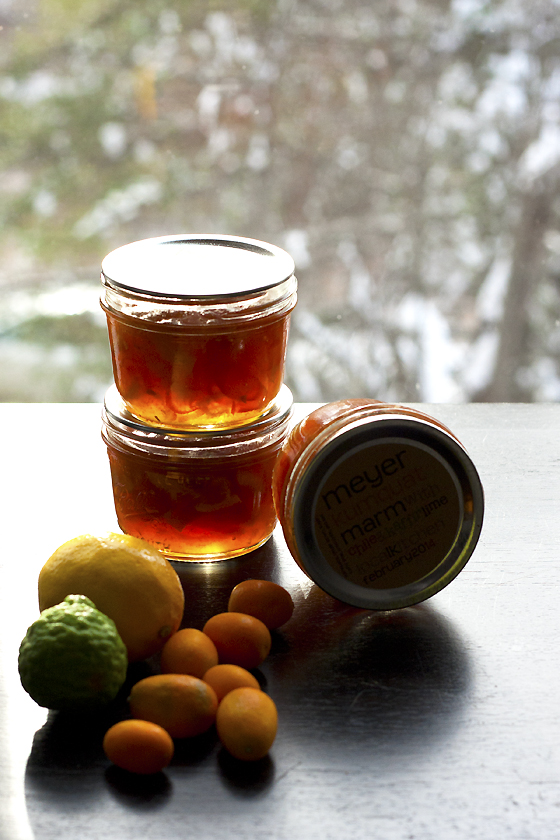 kumquat-meyer-marm