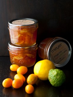 kumquat-meyer-marm