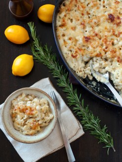 meyer-rosemary-mac