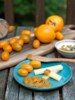 curried-yellow-tomato-chutney