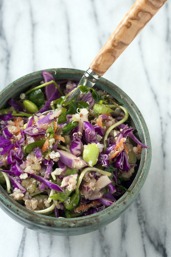 quinoa-red-cabbage-salad