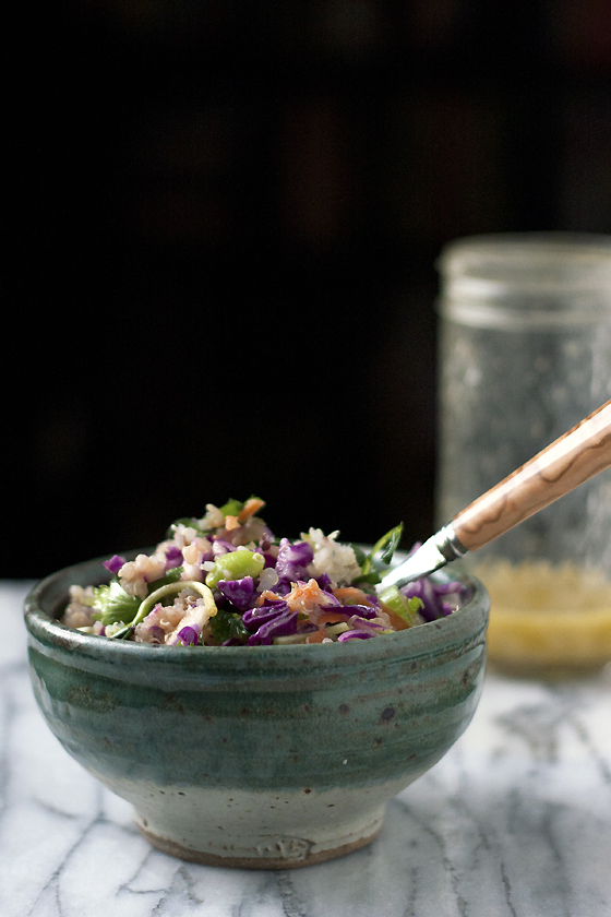 quinoa-red-cabbage-salad