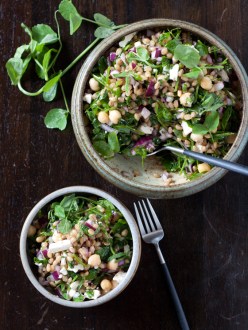wheat-berry-salad