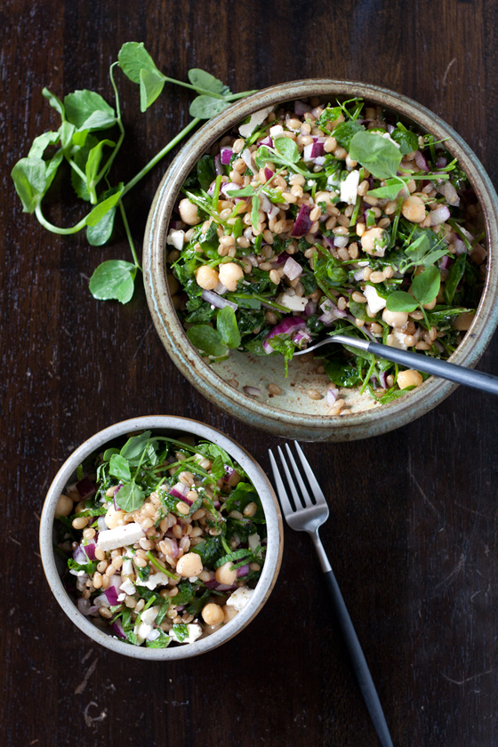 wheat-berry-salad