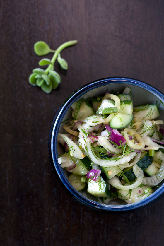 cucumber-cuban-oregano-salad
